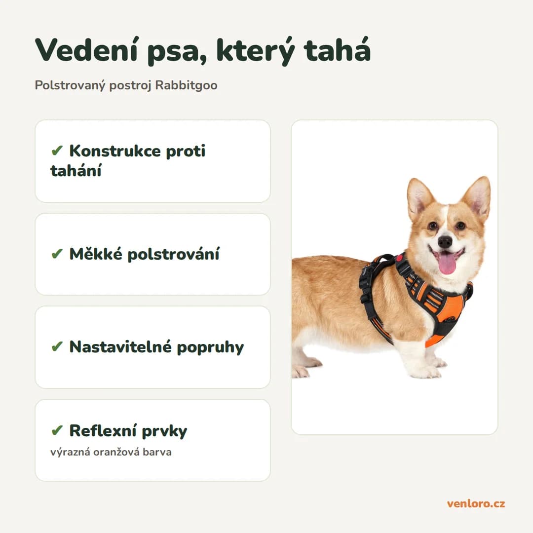 Outlet - Postroj pro psy Rabbitgoo proti tahání, oranžový, velikost S – Vedení psa, který tahá
