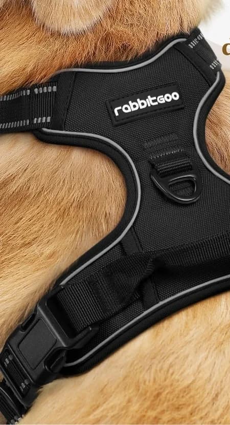 Reflexní postroj pro psy Rabbitgoo, černý, velikost M – měkké polstrování
