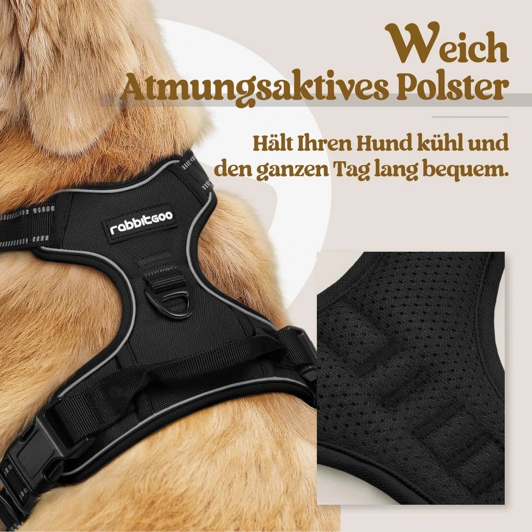 Rabbitgoo reflexní postroj pro psy, černý, velikost M
