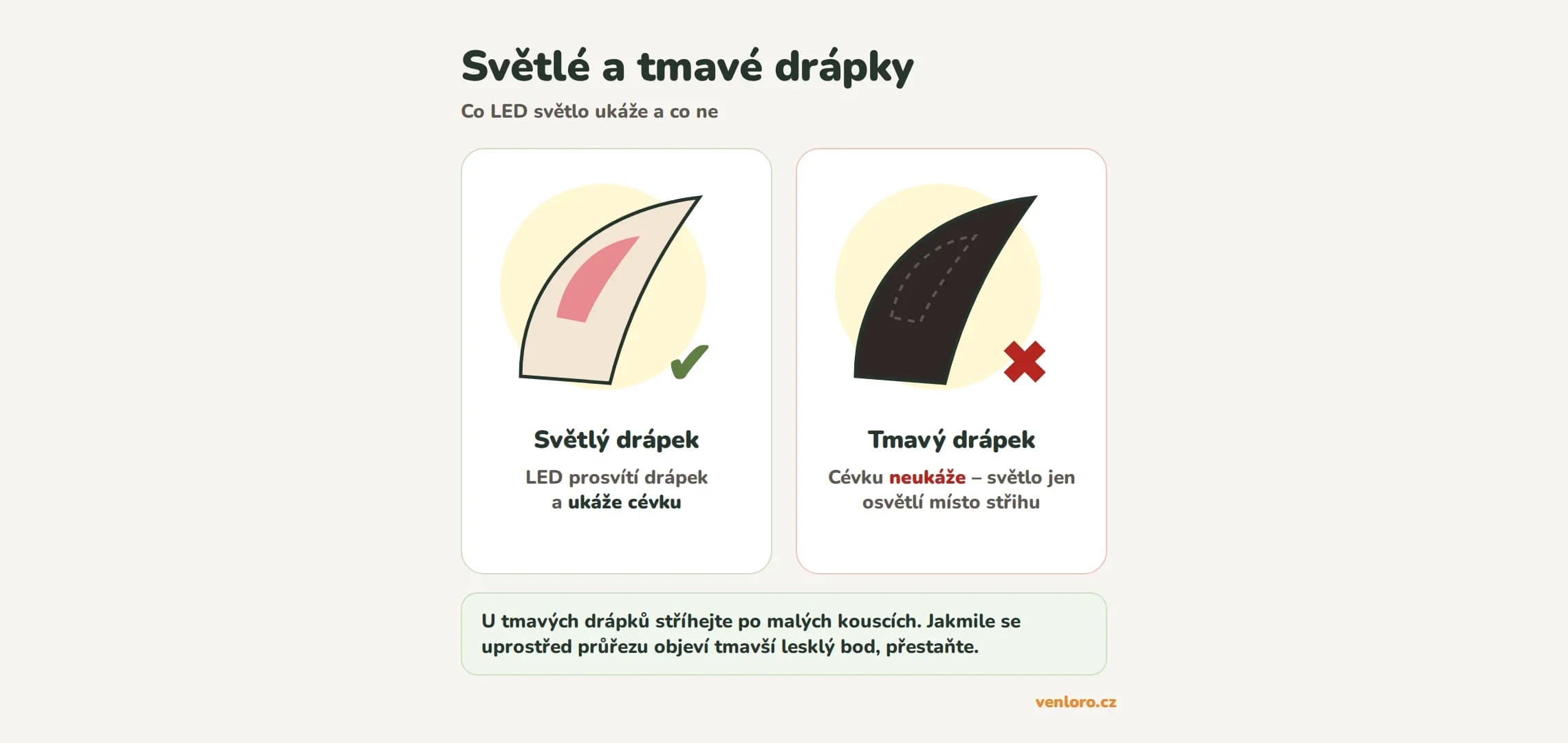 Světlé a tmavé drápky: u světlého drápku LED světlo ukáže cévku, u tmavého ne