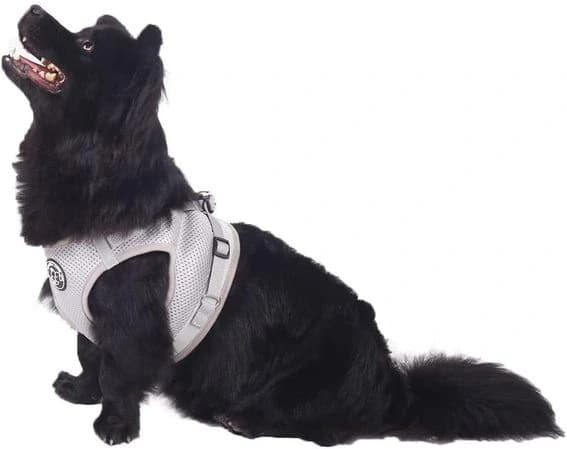Outlet - Hund&Kutz měkký postroj pro psy s vodítkem, šedý, velikost XL