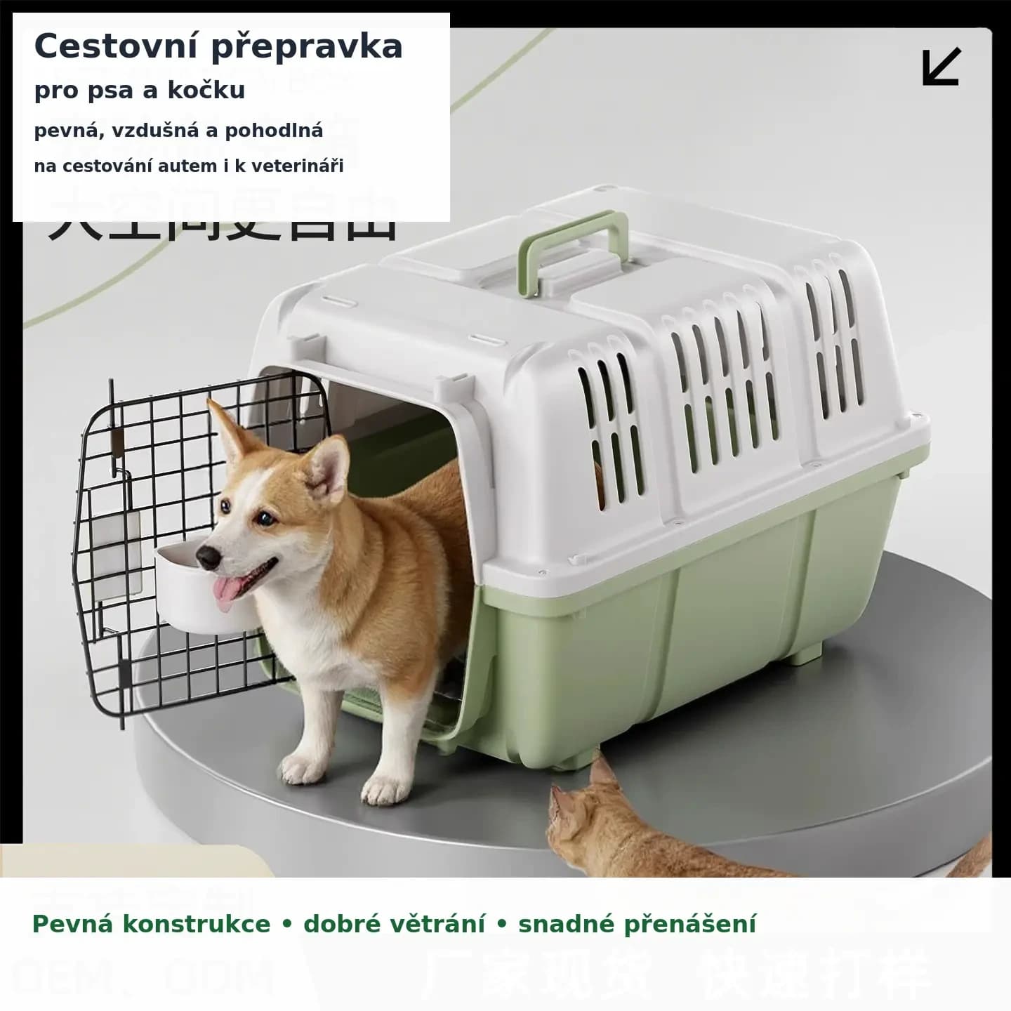Cestovní přepravka pro psy a kočky - zelená/fialová