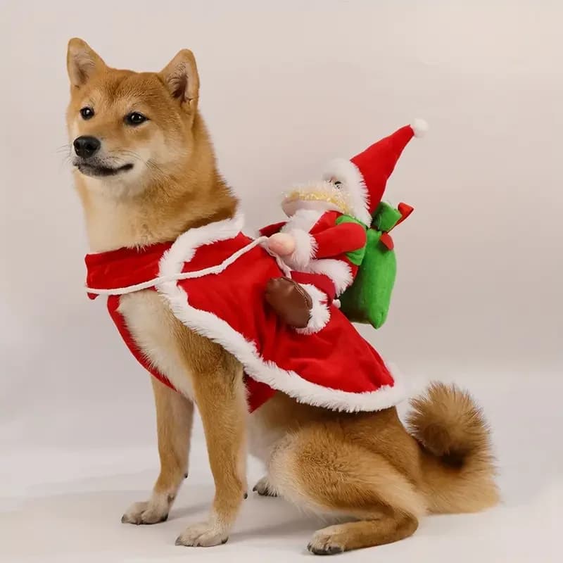 Vánoční kostým pro psy – Santa Claus