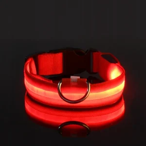 LED obojek pro psy – USB dobíjecí, svítící, nastavitelný