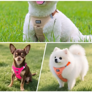 Alternative view of Postroj pro psy s vodítkem – Měkký a pohodlný