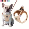 Postroj pro psy s vodítkem – Měkký a pohodlný