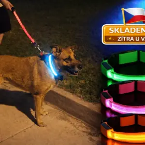 LED obojek pro psy – USB dobíjecí, svítící, nastavitelný