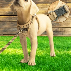 Alternative view of Postroj pro psy s vodítkem – Kostkovaný design, nastavitelný