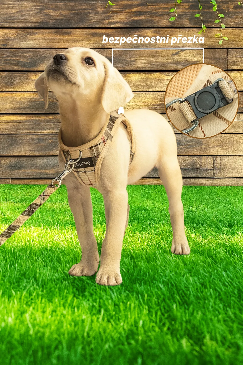 Postroj pro psy s vodítkem – Kostkovaný design, nastavitelný - Obrázek 2
