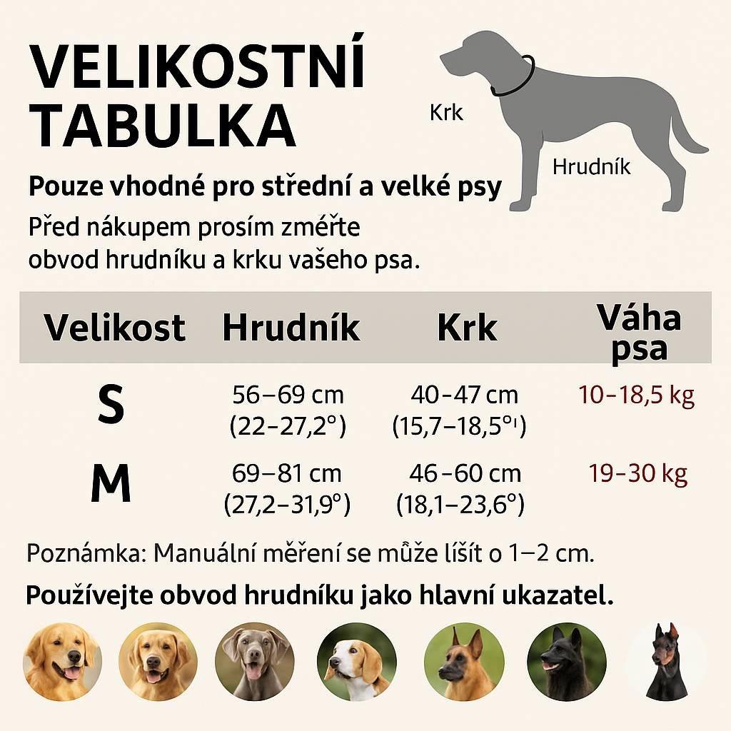 Prodyšný a odolný postroj pro psy – Nastavitelný a bezpečný 5 Prodyšný a odolný postroj pro psy – Nastavitelný a bezpečný - Obrázek 3