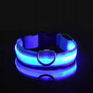 LED obojek pro psy – USB dobíjecí, svítící, nastavitelný