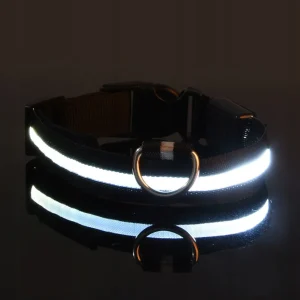 LED obojek pro psy – USB dobíjecí, svítící, nastavitelný