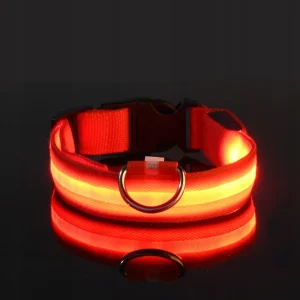 LED obojek pro psy – USB dobíjecí, svítící, nastavitelný