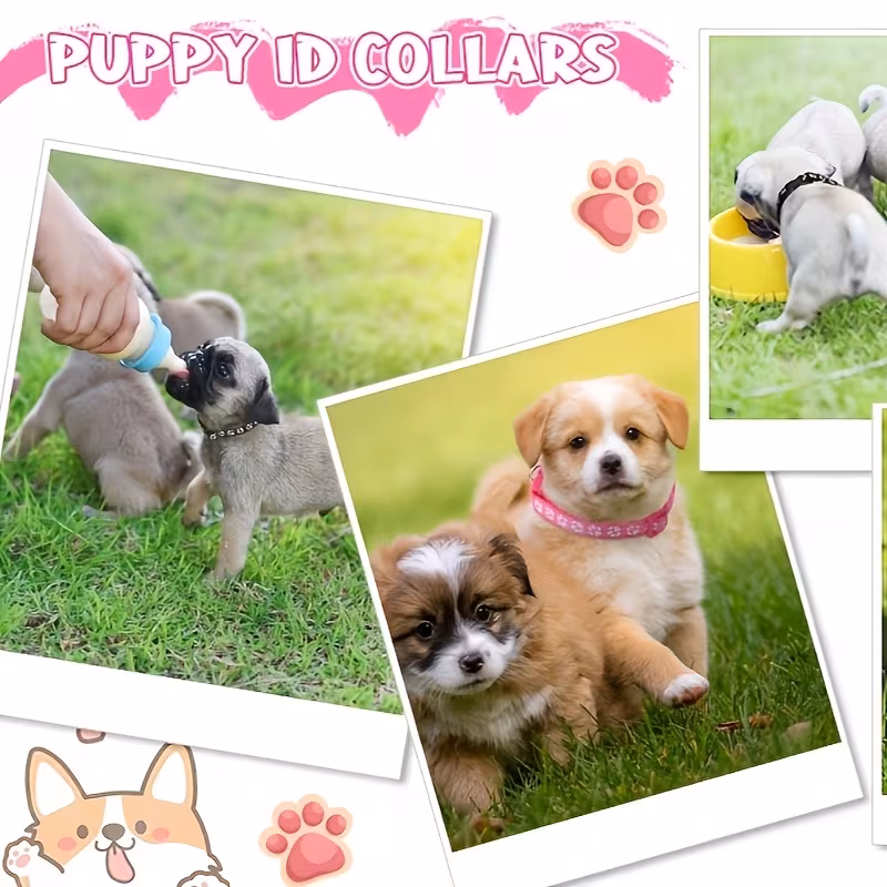 Sada obojků a vodítek pro psy – 12 kusů - Obrázek 3