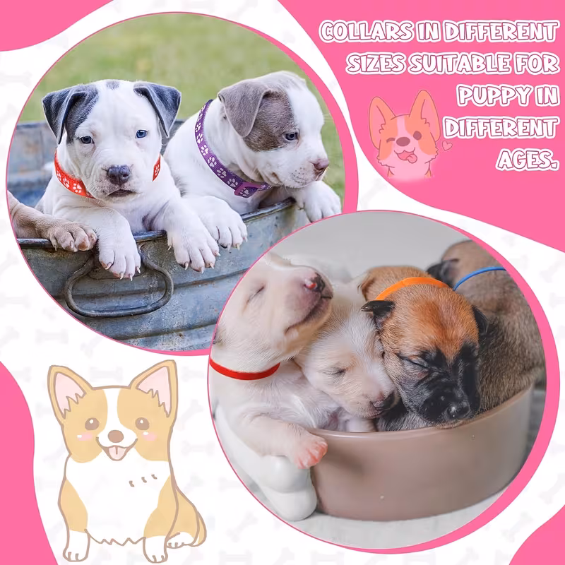 Sada obojků a vodítek pro psy – 12 kusů - Obrázek 2