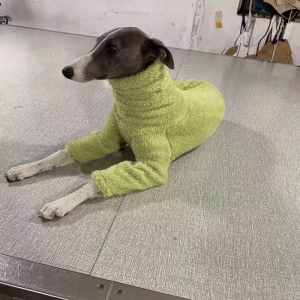 Zimní Teplý Fleece Overal pro Psy – Vysoký Límec, Měkký a Elastický
