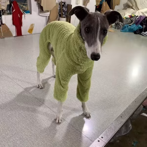 Zimní Teplý Fleece Overal pro Psy – Vysoký Límec, Měkký a Elastický