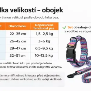 2ks sada obojku a vodítka pro psy – nastavitelný nylonový set