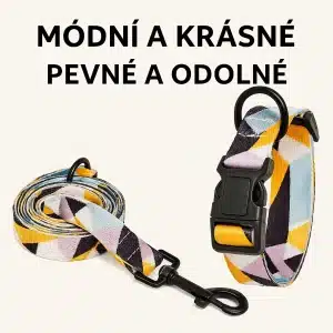2ks sada obojku a vodítka pro psy – nastavitelný nylonový set