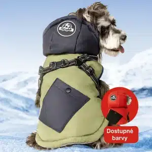 Zimní větruodolná bunda pro psy s kapucí