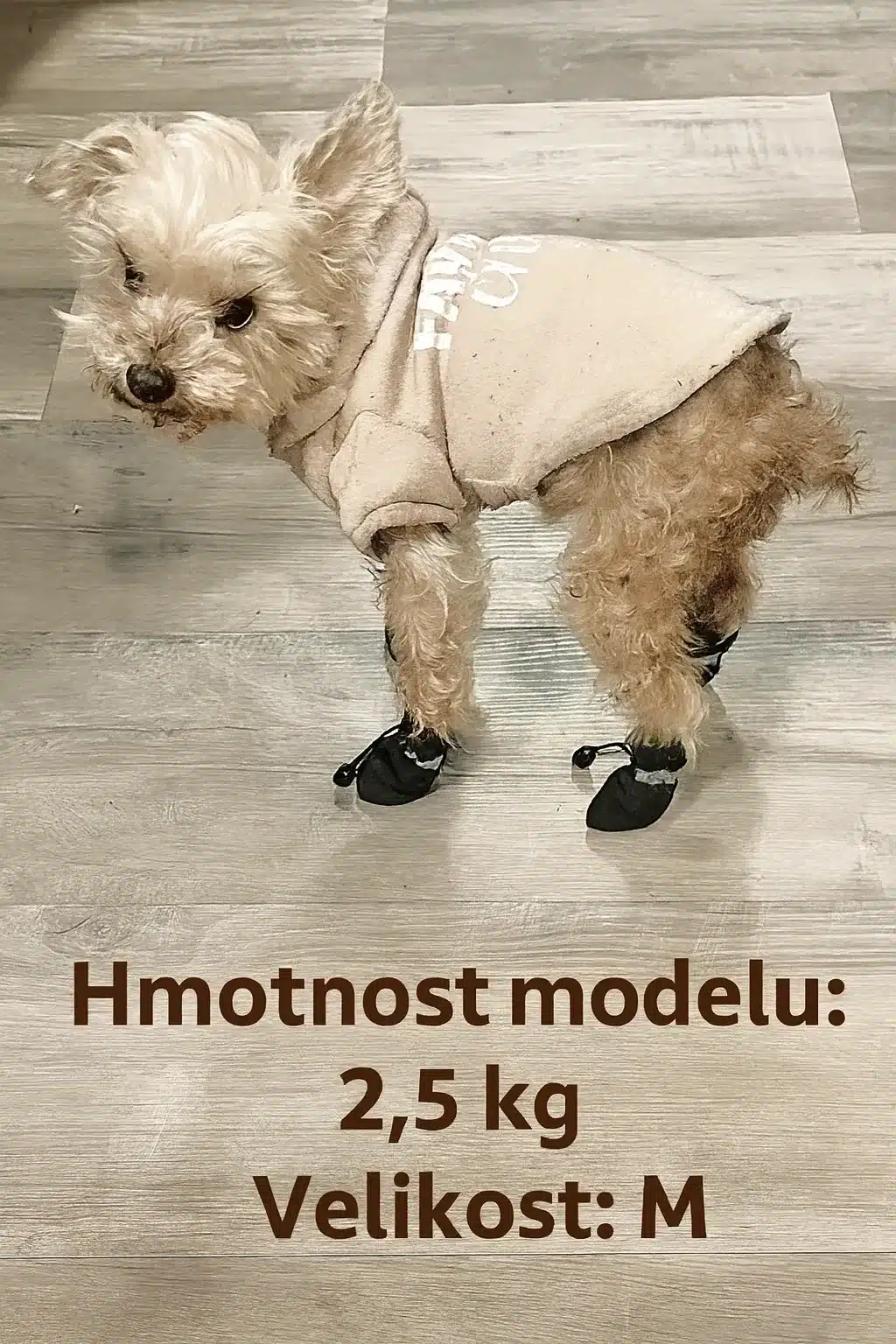 4ks Voděodolné Boty pro Psy – Protiskluzové, Nastavitelné, Vhodné do Deště a Sněhu 3 4ks Voděodolné Boty pro Psy – Protiskluzové, Nastavitelné, Vhodné do Deště a Sněhu - Obrázek 2