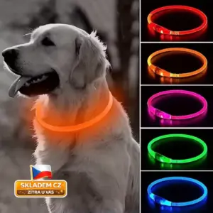 LED obojek pro psy, svítící, USB nabíjení, 3 režimy, nastavitelný