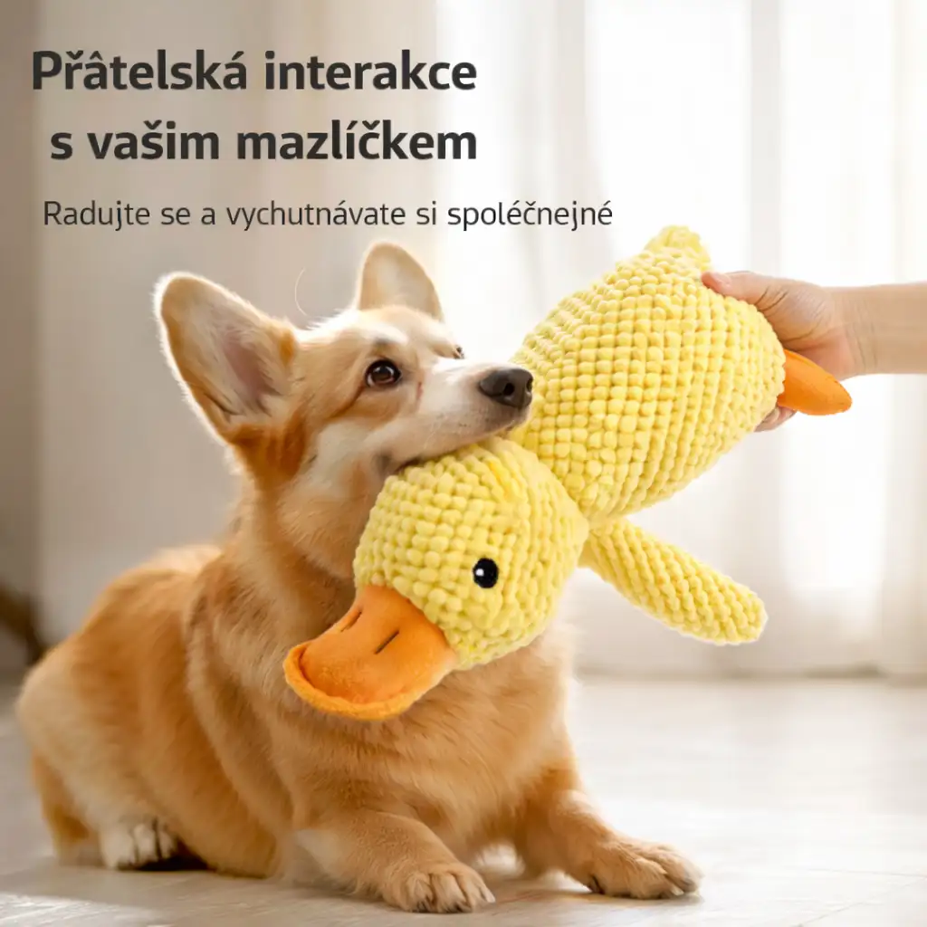 Plyšová KAČENKA Hračka Pískací Hračka pro psa na žvýkání VYDRŽELA 5 Plyšová KAČENKA Hračka Pískací Hračka pro psa na žvýkání VYDRŽELA - Obrázek 3