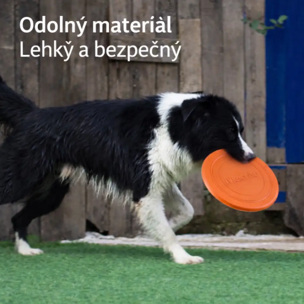 Létající talíř pro psy – odolný frisbee pro výcvik a hru se psem 6 Létající talíř pro psy – odolný frisbee pro výcvik a hru se psem - Obrázek 4