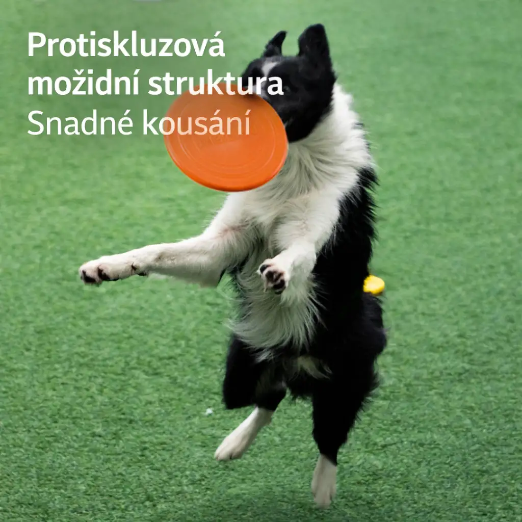 Létající talíř pro psy – odolný frisbee pro výcvik a hru se psem 7 Létající talíř pro psy – odolný frisbee pro výcvik a hru se psem - Obrázek 5