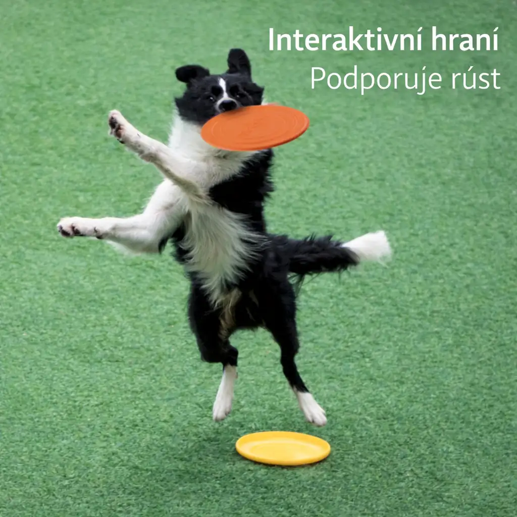 Létající talíř pro psy – odolný frisbee pro výcvik a hru se psem 4 Létající talíř pro psy – odolný frisbee pro výcvik a hru se psem - Obrázek 2