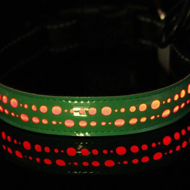 Venloro LED obojek pro psy – USB nabíjecí 15 Venloro LED obojek pro psy – USB nabíjecí - Obrázek 13