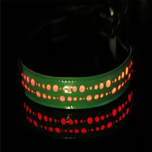 Venloro LED obojek pro psy – USB nabíjecí 34 Venloro LED obojek pro psy – USB nabíjecí