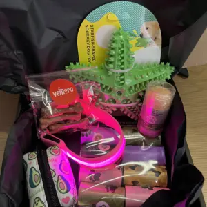 set pro psa – LED obojek a Dentální hračka 13 set pro psa – LED obojek a Dentální hračka