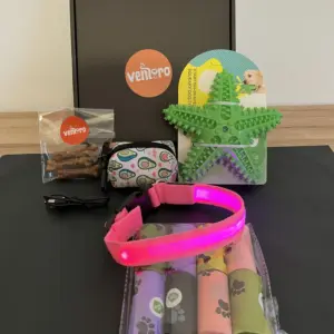 set pro psa – LED obojek a Dentální hračka 19 set pro psa – LED obojek a Dentální hračka