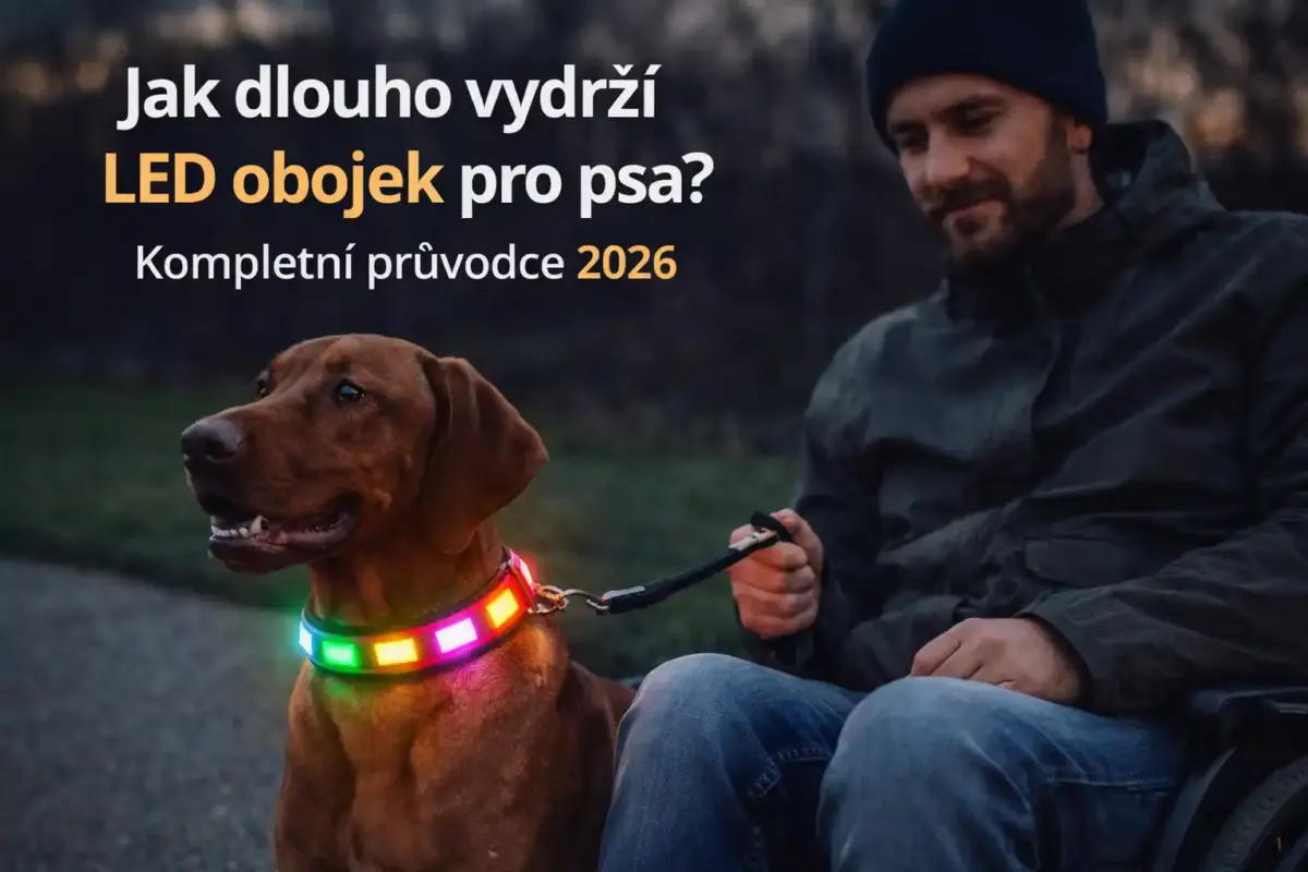 Jak dlouho vydrží LED obojek pro psa? Kompletní průvodce (2026) 3 ED obojek pro psa