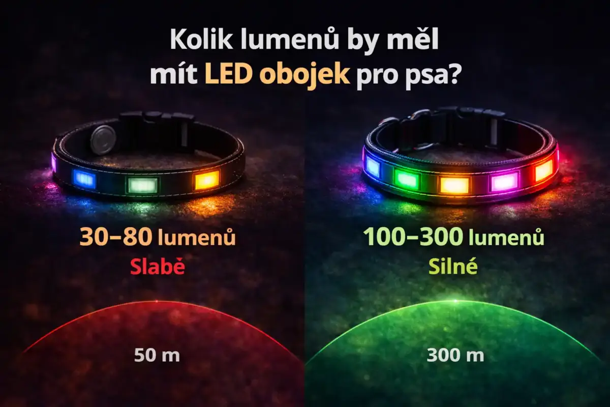 Kolik lumenů by měl mít LED obojek pro psa? Kompletní průvodce (2026) 10 LED obojek pro psa