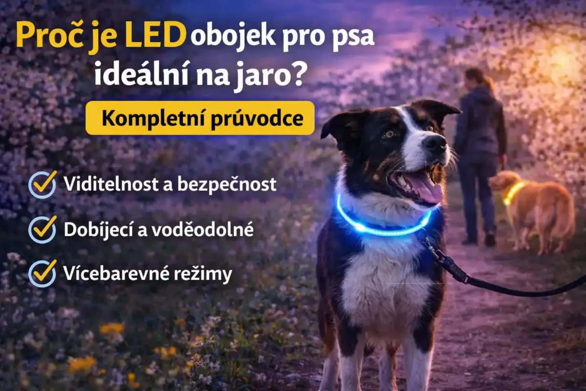 Proč je LED obojek pro psa ideální na jaro? Kompletní průvodce 6 led obojek pro psa