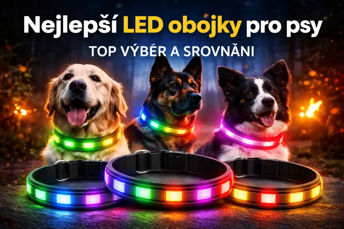 Nejlepší LED obojky pro psy – TOP výběr a srovnání (2026) 1 nejlepší LED obojek pro psa