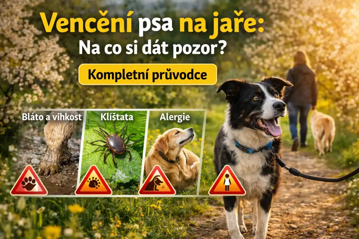 Na co si dát pozor při venčení psa na jaře? Kompletní průvodce 7 Na co si dát pozor při venčení psa na jaře? Kompletní průvodce