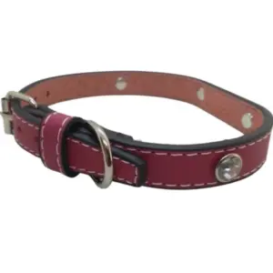 Obojek pro psa 26-32 centimetrů 9 Obojek pro psa 26-32 centimetrů