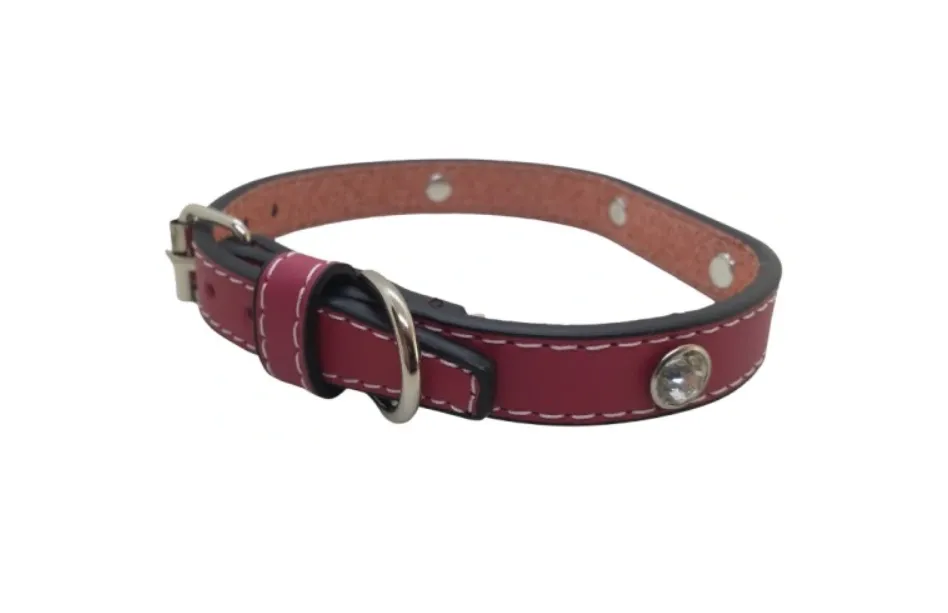 Obojek pro psa 26-32 centimetrů 5 Obojek pro psa 26-32 centimetrů - Obrázek 4