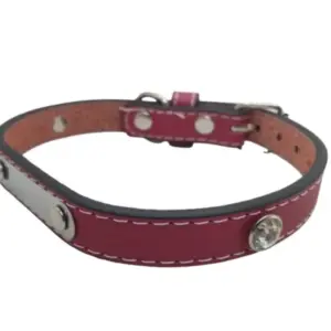 Obojek pro psa 26-32 centimetrů 10 Obojek pro psa 26-32 centimetrů