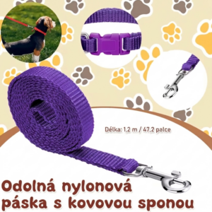 Barevný set pro domácí mazlíčky: Nastavitelný obojek + Vodítko