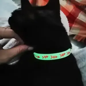 Cute Shop 31 Svítící silikonový obojek pro kočky s rolničkou, neonově žlutý